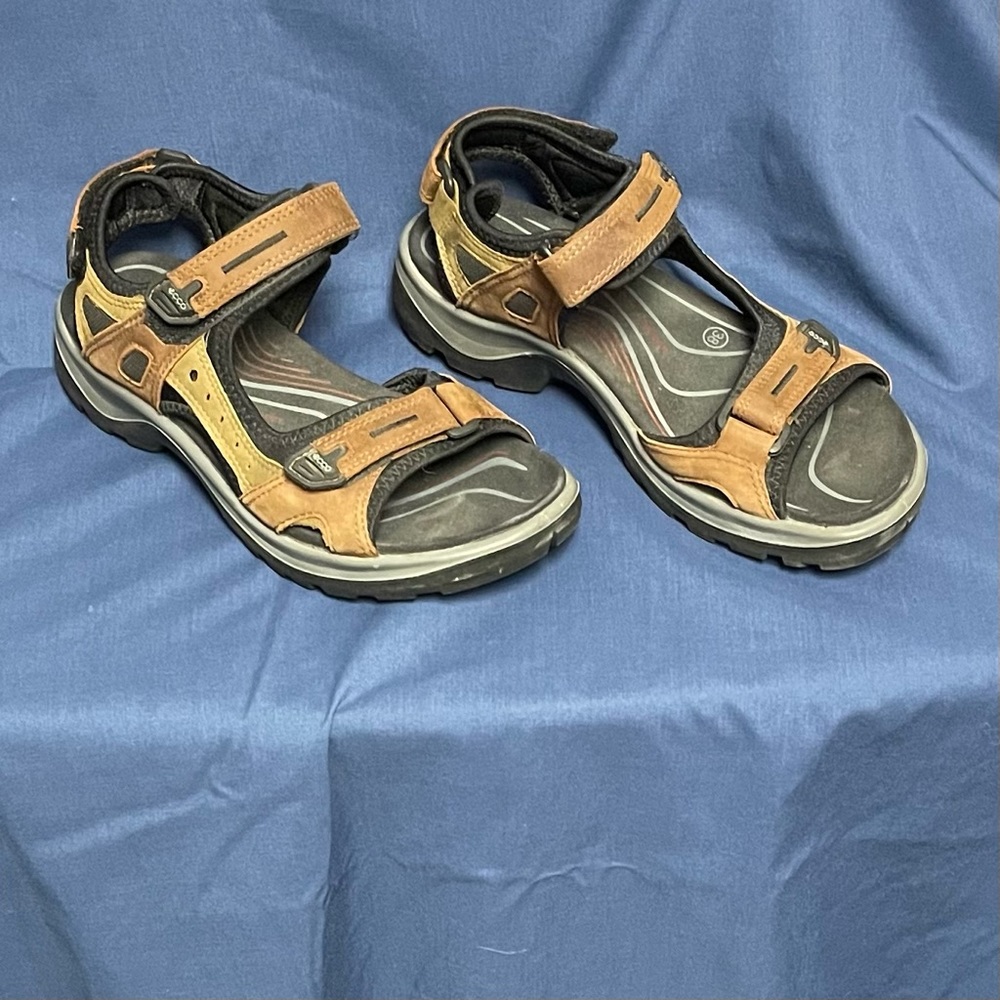 Ecco Hiking Sandals